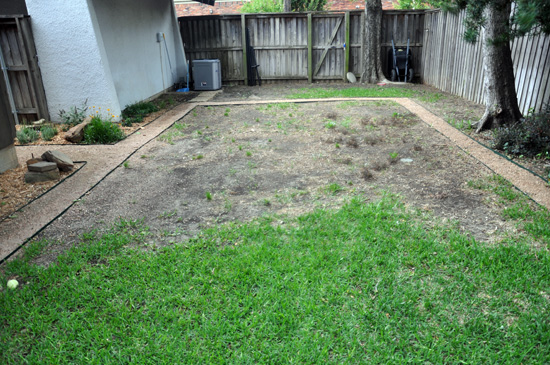 Backyard Drainage Before