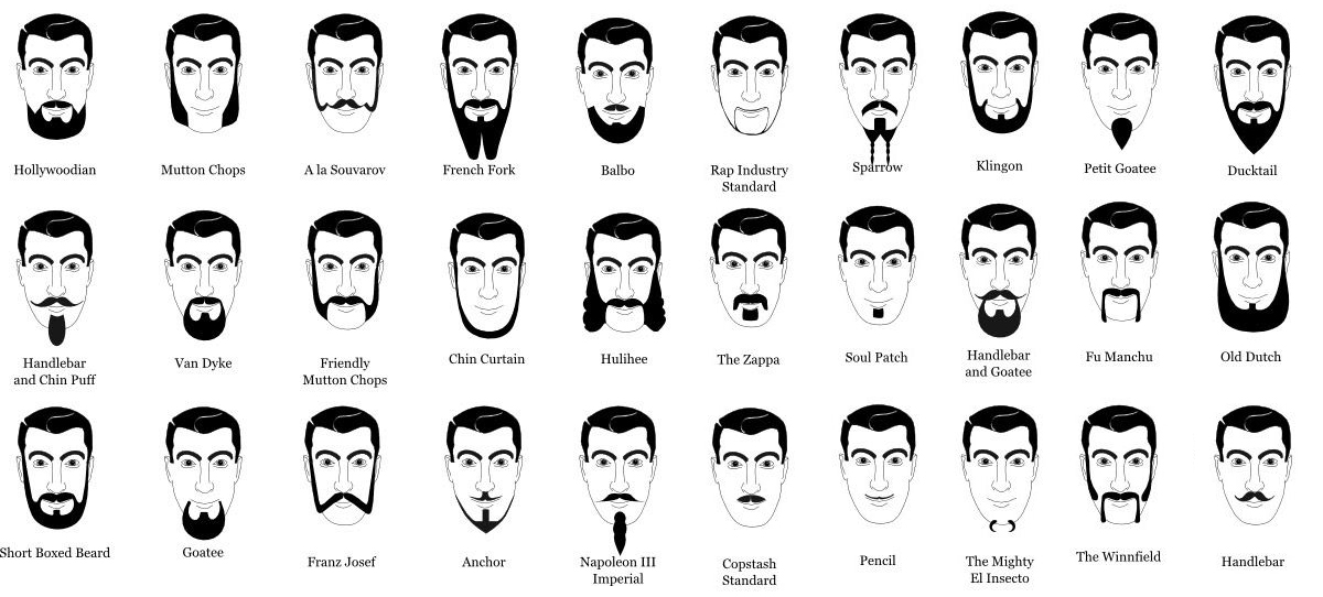 beard types