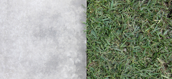 concrete and grass