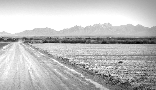 New Mexico Farm