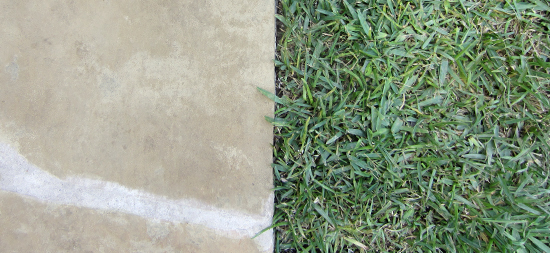 flagstone and grass