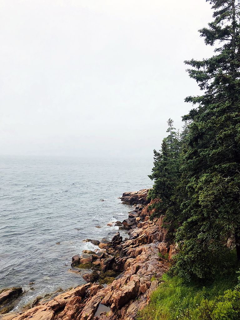 Main Coastline - photo by Bob Borson