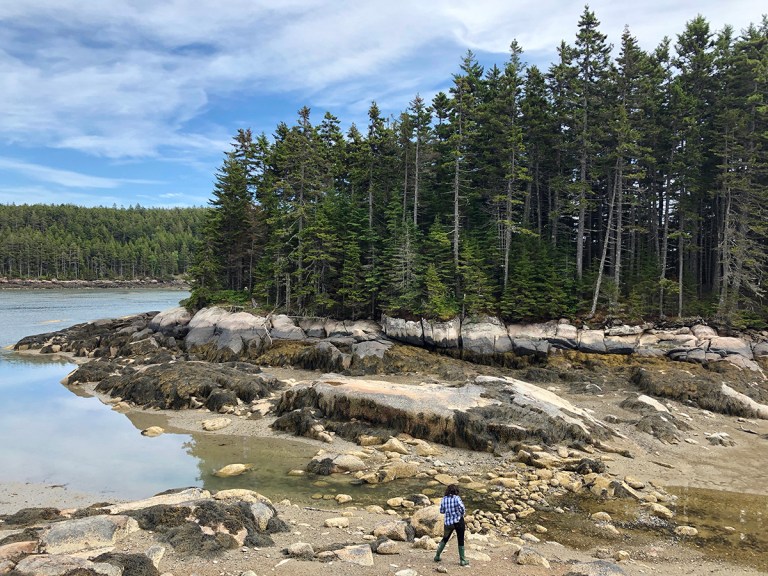 Maine coastline - Low tide - photo by Bob Borson