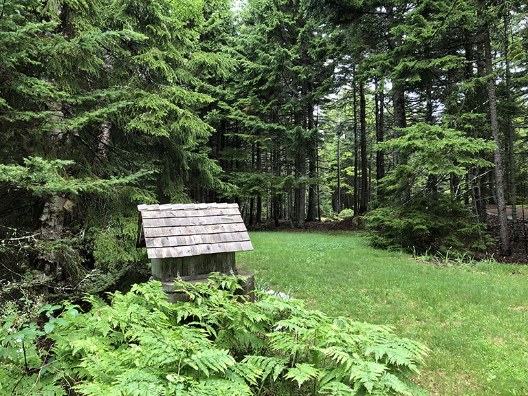 Maine front yard - photo by Bob Borson