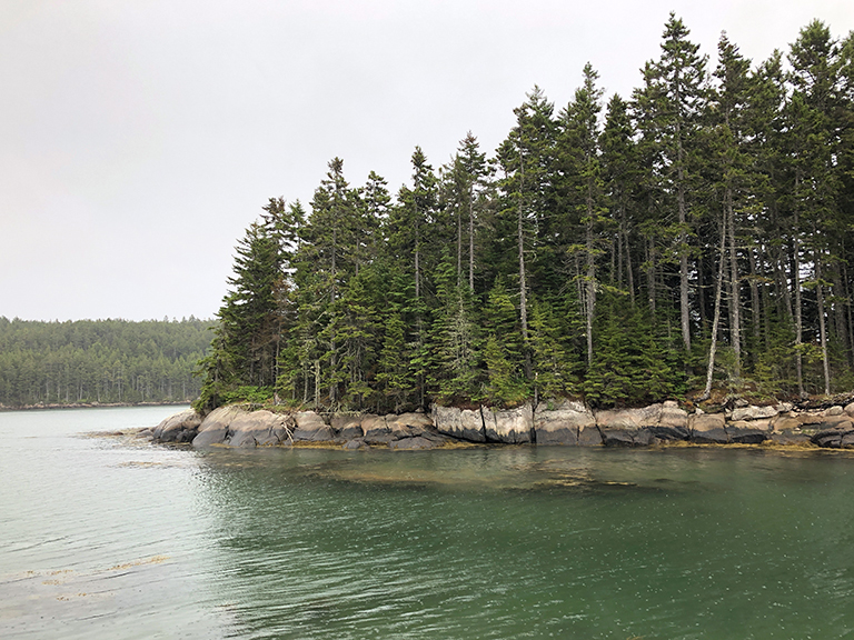 Maine - View from the rock - photo by Bob Borson