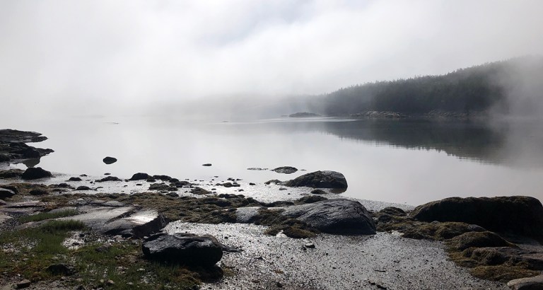 Morning View in the fog - photo by Bob Borson