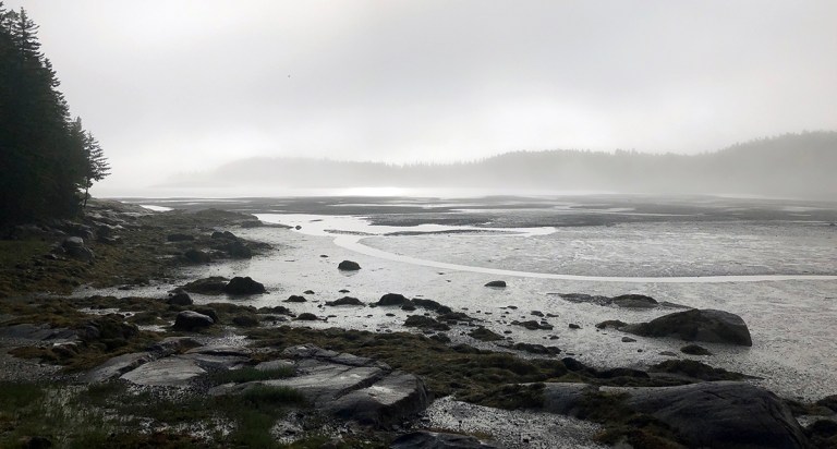 Morning View in the fog - photo by Bob Borson