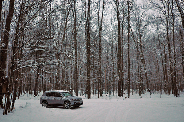 Parked in the Woods