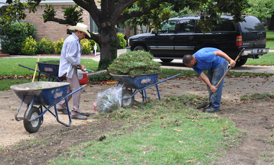 preparing the dirt